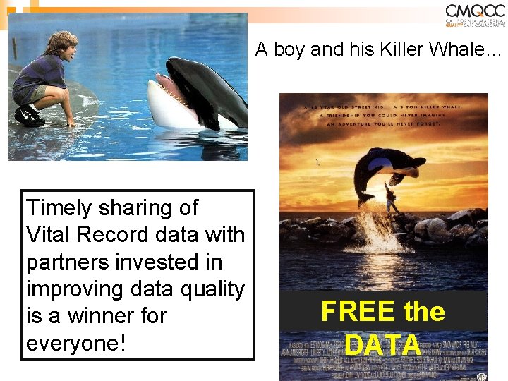 A boy and his Killer Whale… Timely sharing of Vital Record data with partners A boy and his Killer Whale… Timely sharing of Vital Record data with partners