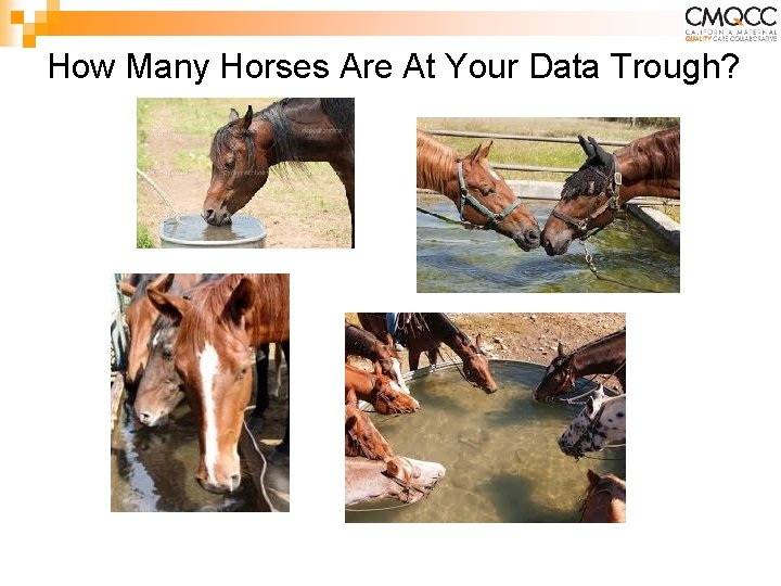 How Many Horses Are At Your Data Trough? How Many Horses Are At Your Data Trough?