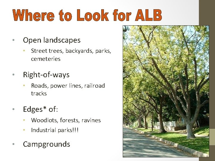  • Open landscapes • Street trees, backyards, parks, cemeteries • Right-of-ways • Roads,