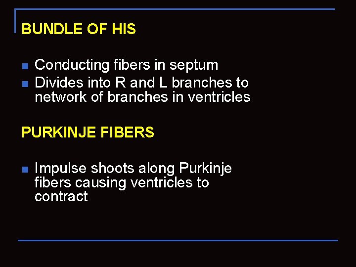 BUNDLE OF HIS n n Conducting fibers in septum Divides into R and L