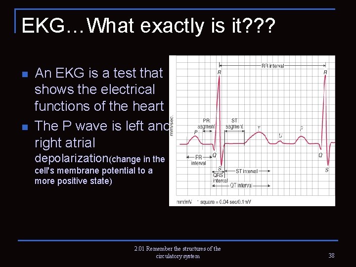 EKG…What exactly is it? ? ? n n An EKG is a test that