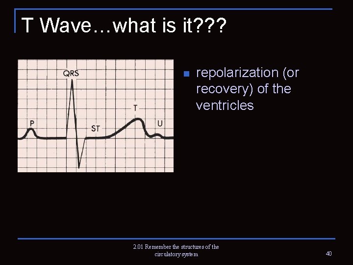 T Wave…what is it? ? ? n repolarization (or recovery) of the ventricles 2.