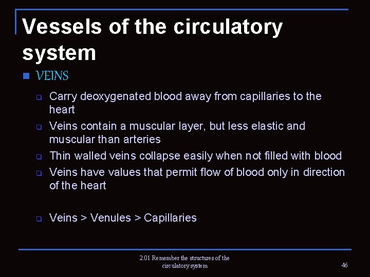 Vessels of the circulatory system n VEINS q q q Carry deoxygenated blood away