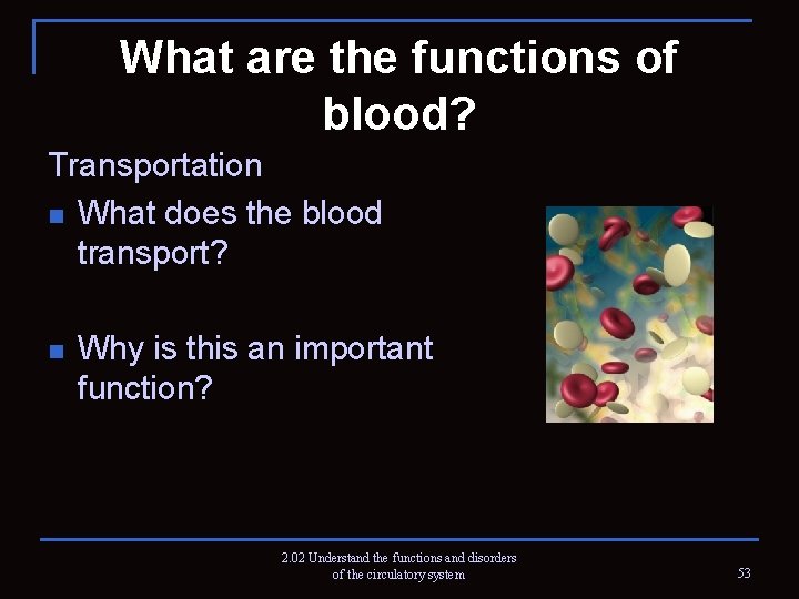 What are the functions of blood? Transportation n What does the blood transport? n