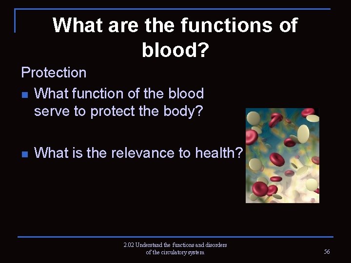 What are the functions of blood? Protection n What function of the blood serve
