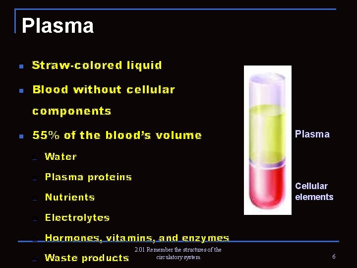 Plasma n Straw-colored liquid n Blood without cellular components n 55% of the blood’s