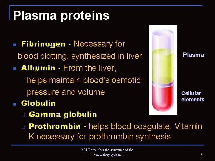 Plasma proteins n Fibrinogen - Necessary for blood clotting, synthesized in liver n Albumin
