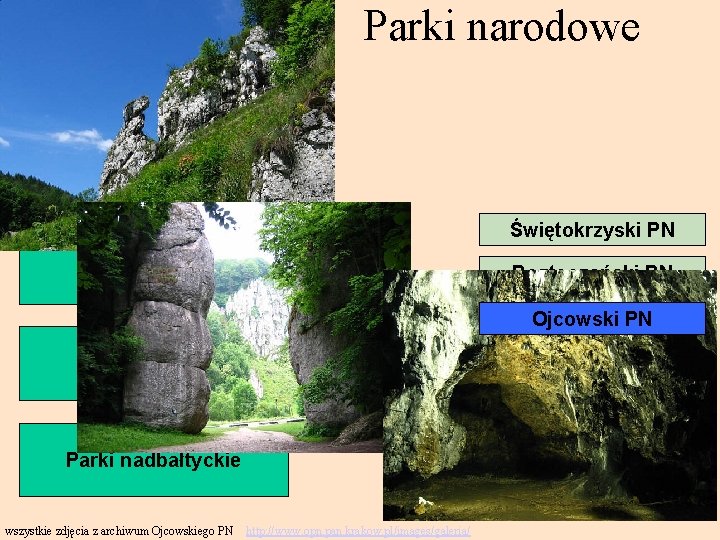 Parki narodowe Parki górskie Świętokrzyski PN Parki wyżyn Roztoczański PN Ojcowski PN Parki nizinne
