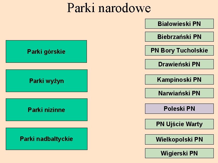 Parki narodowe Białowieski PN Biebrzański PN Parki górskie PN Bory Tucholskie Drawieński PN Parki