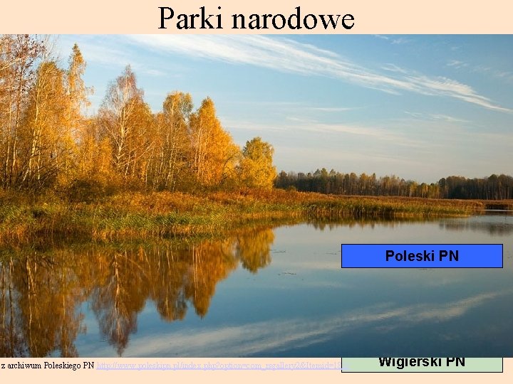 Parki narodowe Białowieski PN Biebrzański PN Parki górskie PN Bory Tucholskie Drawieński PN Parki