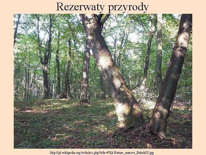 Rezerwaty przyrody http: //pl. wikipedia. org/w/index. php? title=Plik: Nature_reserve_Babsk 03. jpg 