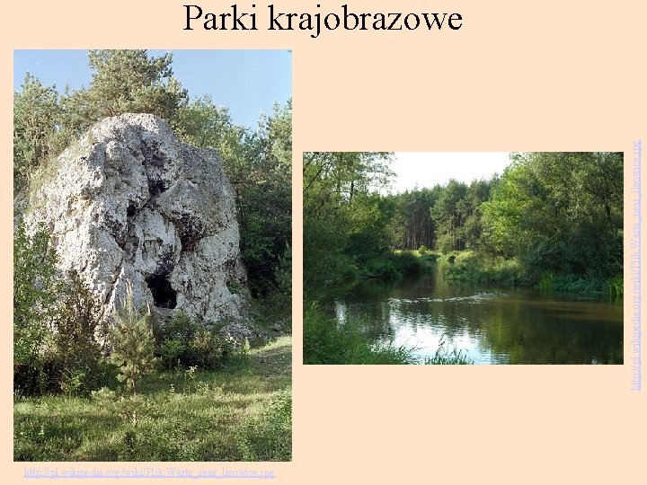 http: //pl. wikipedia. org/wiki/Plik: Warta_near_lisowice. jpg Parki krajobrazowe http: //pl. wikipedia. org/wiki/Plik: Warta_near_lisowice. jpg