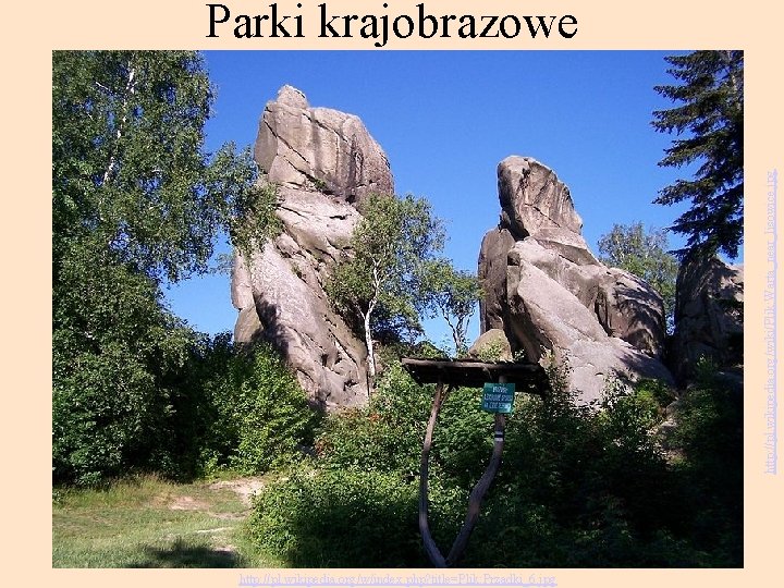 http: //pl. wikipedia. org/wiki/Plik: Warta_near_lisowice. jpg Parki krajobrazowe http: //pl. wikipedia. org/w/index. php? title=Plik: