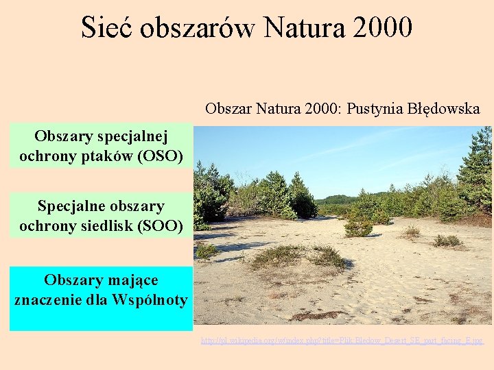 Sieć obszarów Natura 2000 Obszar Natura 2000: Pustynia Błędowska Obszary specjalnej ochrony ptaków (OSO)