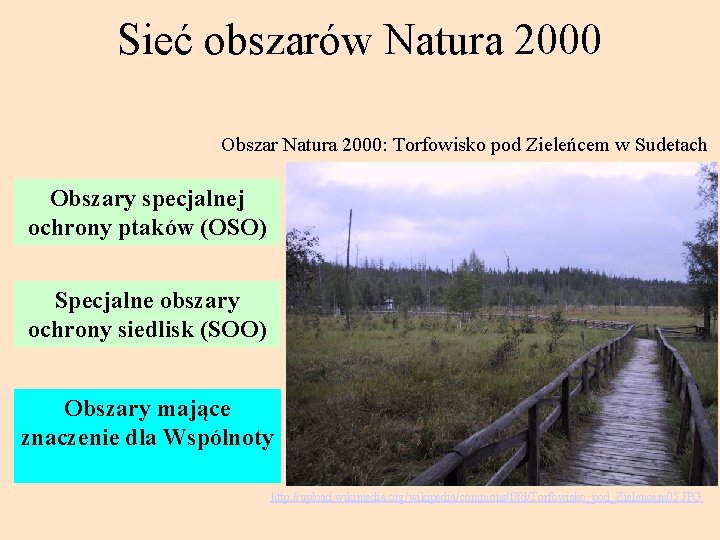Sieć obszarów Natura 2000 Obszar Natura 2000: Torfowisko pod Zieleńcem w Sudetach Obszary specjalnej