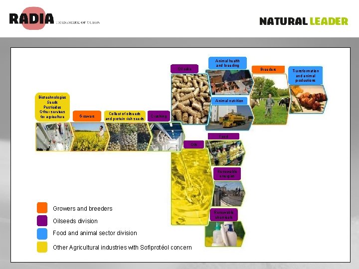 Oil cake Biotechnologies Seeds Pesticides Other services for agriculture Animal health and breeding Animal