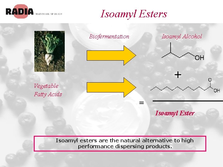 Isoamyl Esters Biofermentation Isoamyl Alcohol + Vegetable Fatty Acids = Isoamyl Ester Isoamyl esters