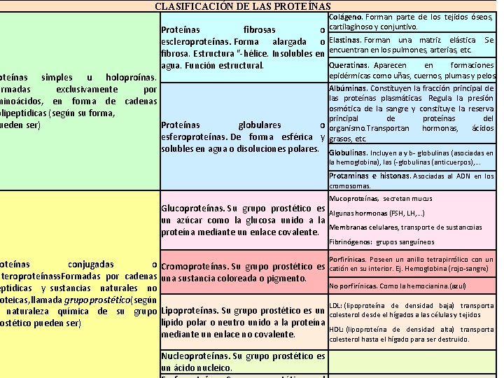 CLASIFICACIÓN DE LAS PROTEÍNAS Colágeno. Forman parte de los tejidos óseos, o cartilaginoso CLASIFICACIÓN DE LAS PROTEÍNAS Colágeno. Forman parte de los tejidos óseos, o cartilaginoso