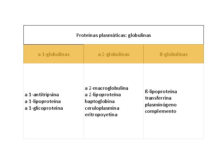 Proteínas plasmáticas: globulinas a 1 -antitripsina a 1 -lipoproteína a 1 -glicoproteína a 2 Proteínas plasmáticas: globulinas a 1 -antitripsina a 1 -lipoproteína a 1 -glicoproteína a 2