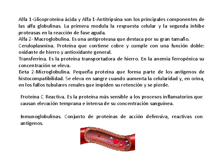 Alfa 1 -Glicoproteína ácida y Alfa 1 -Antitripsina son los principales componentes de las Alfa 1 -Glicoproteína ácida y Alfa 1 -Antitripsina son los principales componentes de las