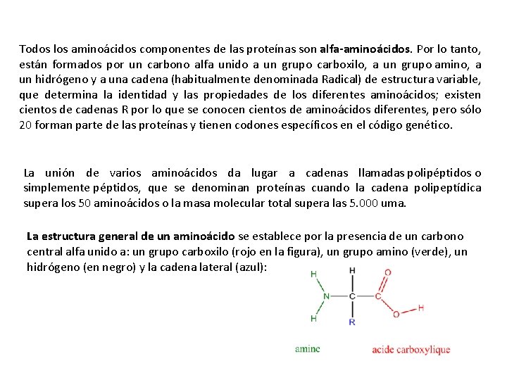 Todos los aminoácidos componentes de las proteínas son alfa-aminoácidos. Por lo tanto, están formados Todos los aminoácidos componentes de las proteínas son alfa-aminoácidos. Por lo tanto, están formados