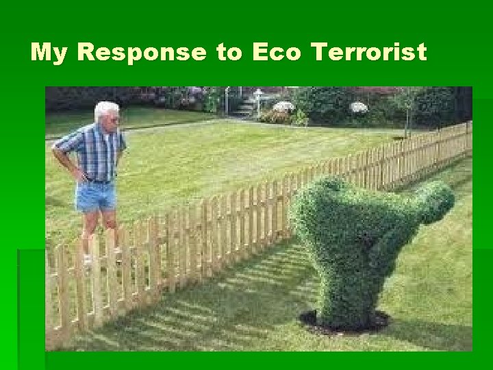 My Response to Eco Terrorist 