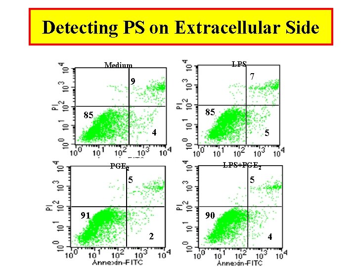 Detecting PS on Extracellular Side LPS Medium 7 9 85 85 4 5 LPS+PGE