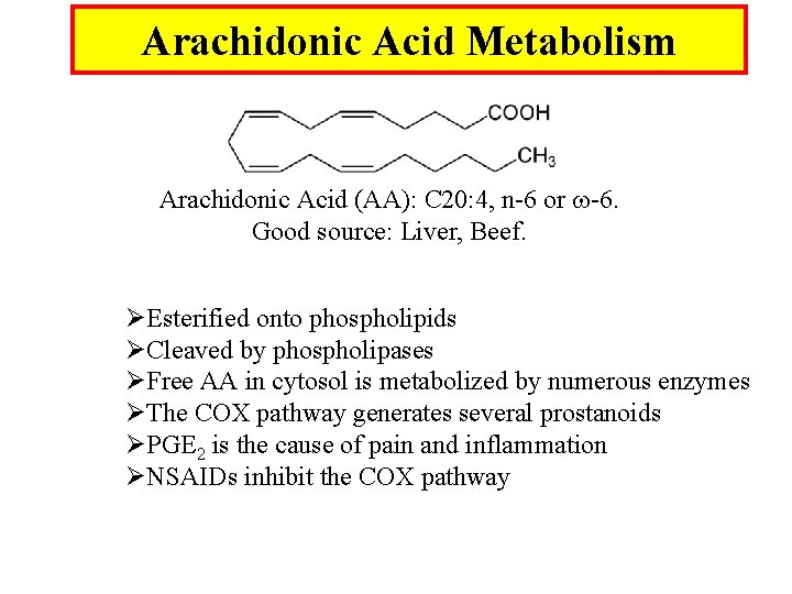 Arachidonic Acid Metabolism Arachidonic Acid (AA): C 20: 4, n-6 or -6. Good source: