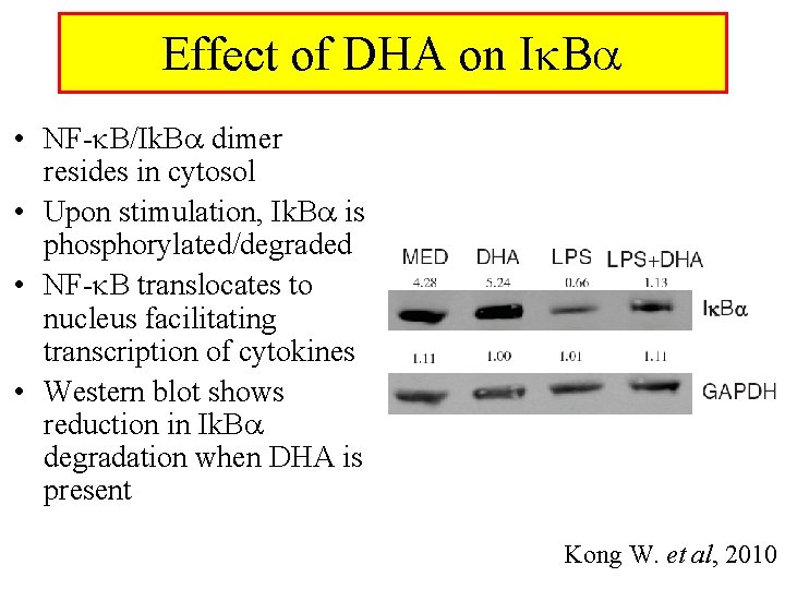 Effect of DHA on I B • NF- B/Ik. B dimer resides in cytosol
