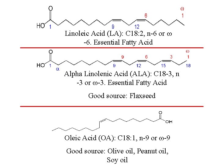 Linoleic Acid (LA): C 18: 2, n-6 or -6. Essential Fatty Acid Alpha Linolenic