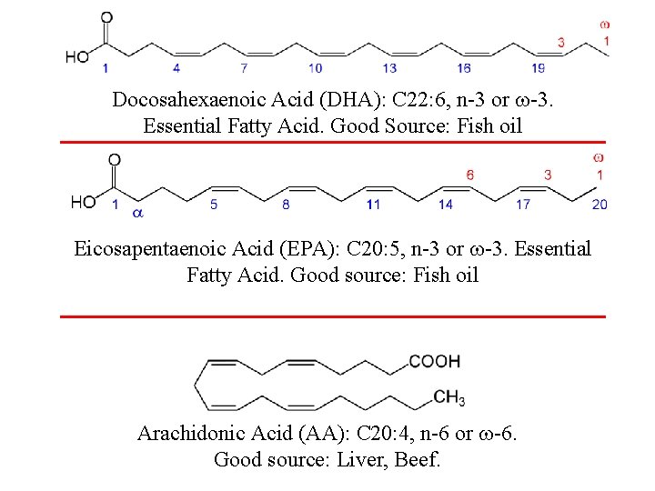 Docosahexaenoic Acid (DHA): C 22: 6, n-3 or -3. Essential Fatty Acid. Good Source: