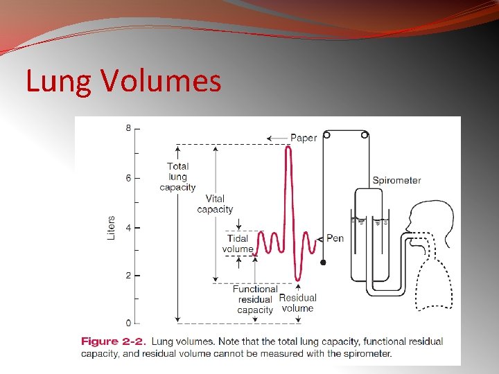 Lung Volumes 