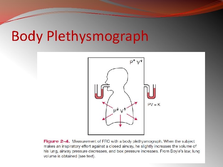 Body Plethysmograph 