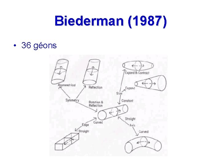 Biederman (1987) • 36 géons 