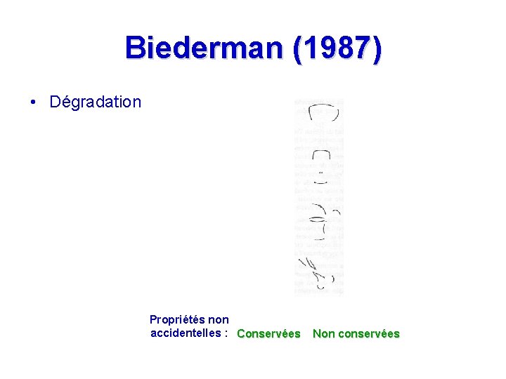 Biederman (1987) • Dégradation Propriétés non accidentelles : Conservées Non conservées 