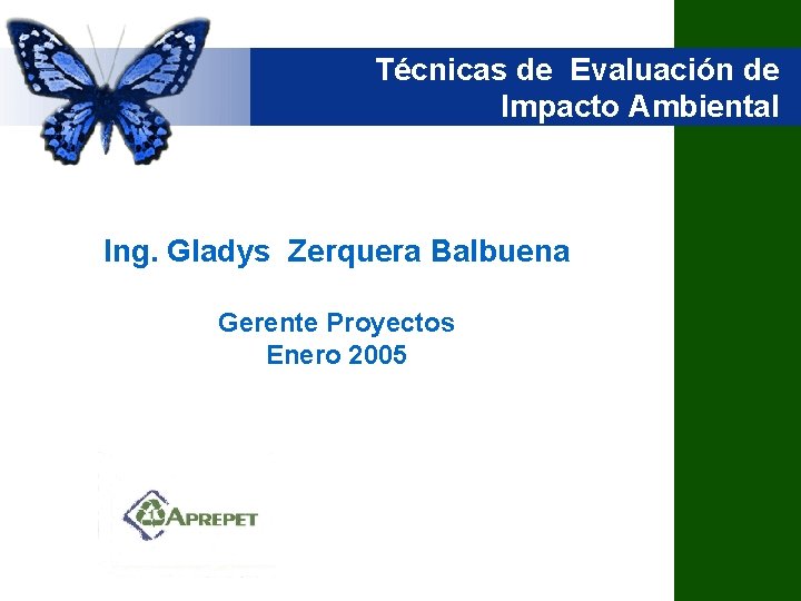 Técnicas de Evaluación de Impacto Ambiental Ing. Gladys Zerquera Balbuena Gerente Proyectos Enero 2005