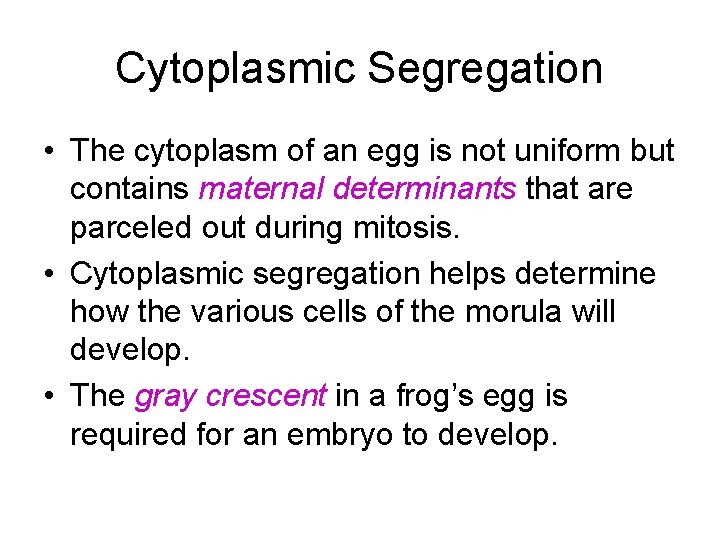 Cytoplasmic Segregation • The cytoplasm of an egg is not uniform but contains maternal