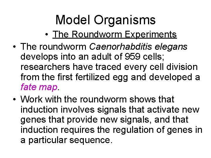 Model Organisms • The Roundworm Experiments • The roundworm Caenorhabditis elegans develops into an