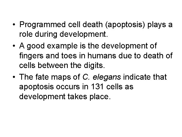  • Programmed cell death (apoptosis) plays a role during development. • A good