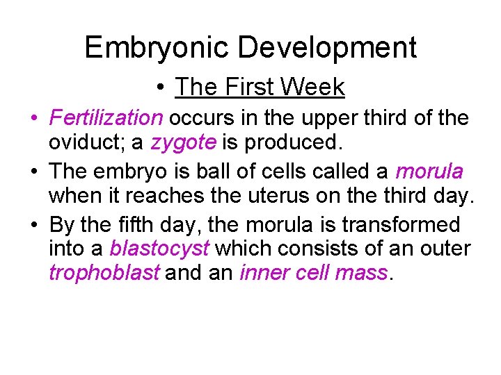Embryonic Development • The First Week • Fertilization occurs in the upper third of