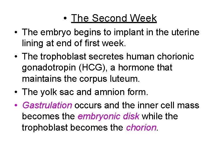  • The Second Week • The embryo begins to implant in the uterine