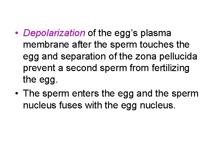  • Depolarization of the egg’s plasma membrane after the sperm touches the egg