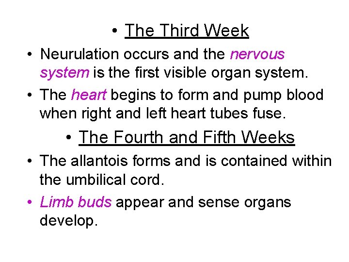  • The Third Week • Neurulation occurs and the nervous system is the