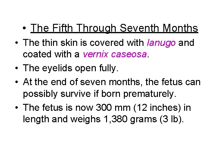  • The Fifth Through Seventh Months • The thin skin is covered with