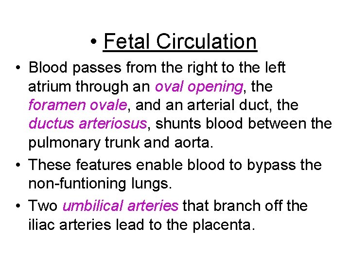  • Fetal Circulation • Blood passes from the right to the left atrium