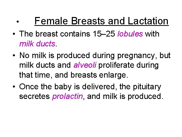  • Female Breasts and Lactation • The breast contains 15– 25 lobules with