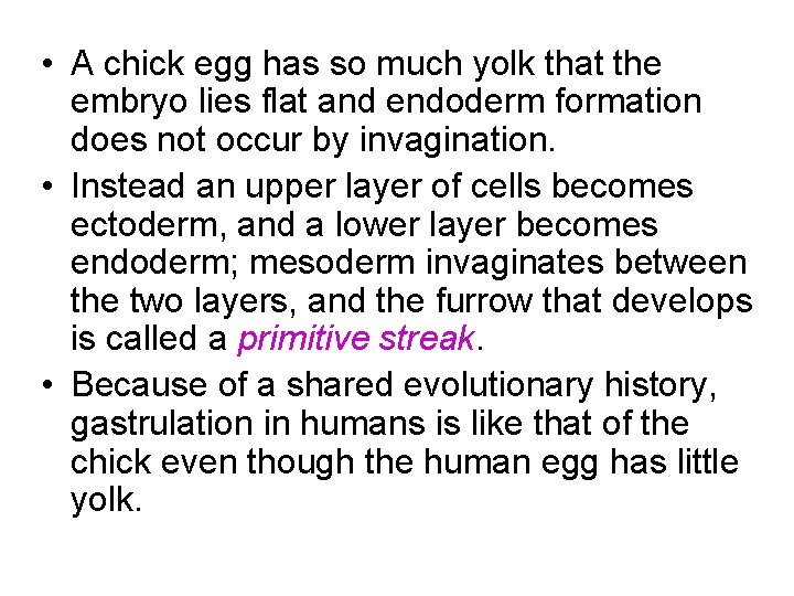  • A chick egg has so much yolk that the embryo lies flat
