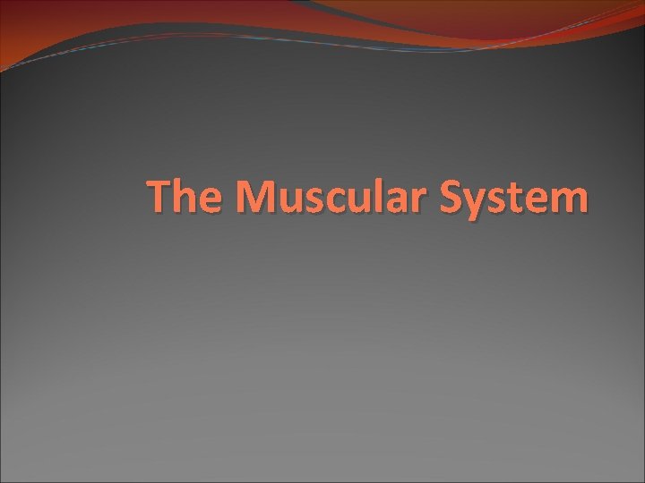 The Muscular System 