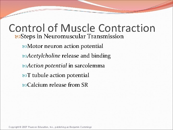 Control of Muscle Contraction Steps in Neuromuscular Transmission Motor neuron action potential Acetylcholine release