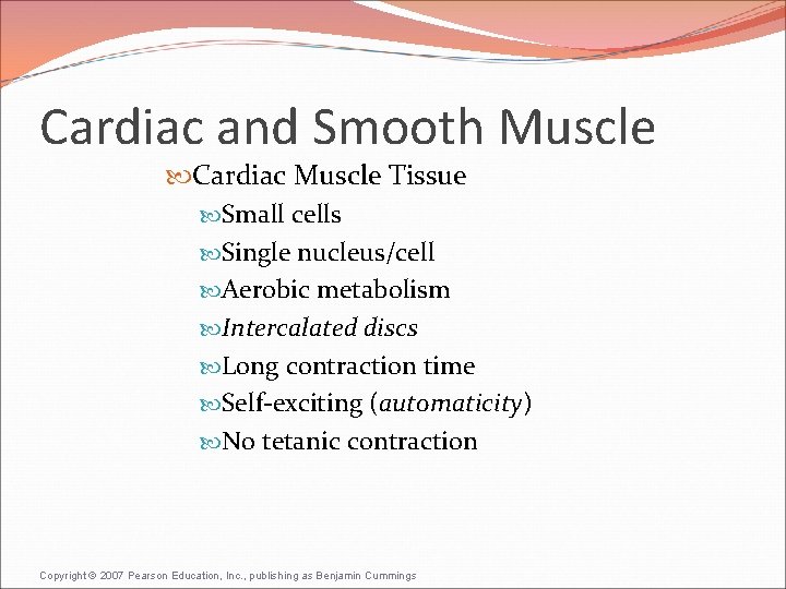 Cardiac and Smooth Muscle Cardiac Muscle Tissue Small cells Single nucleus/cell Aerobic metabolism Intercalated